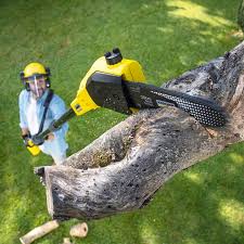 Lawn Maintenance Plans in Benton, IL